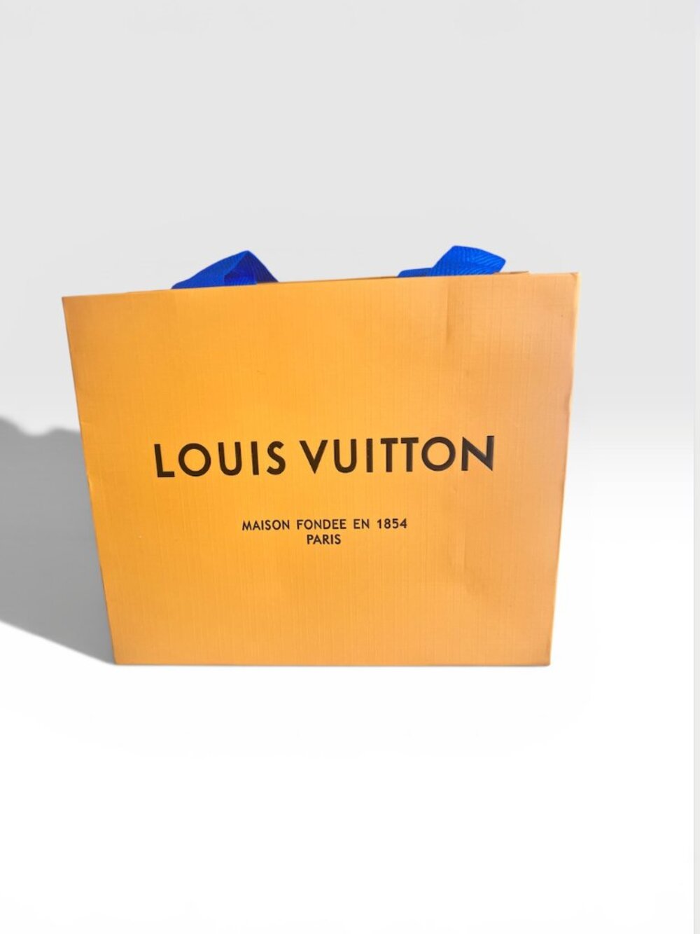 LOUIS VUITTON Orange and Blue Gift Bag with braided nylon handle (LVXX001)